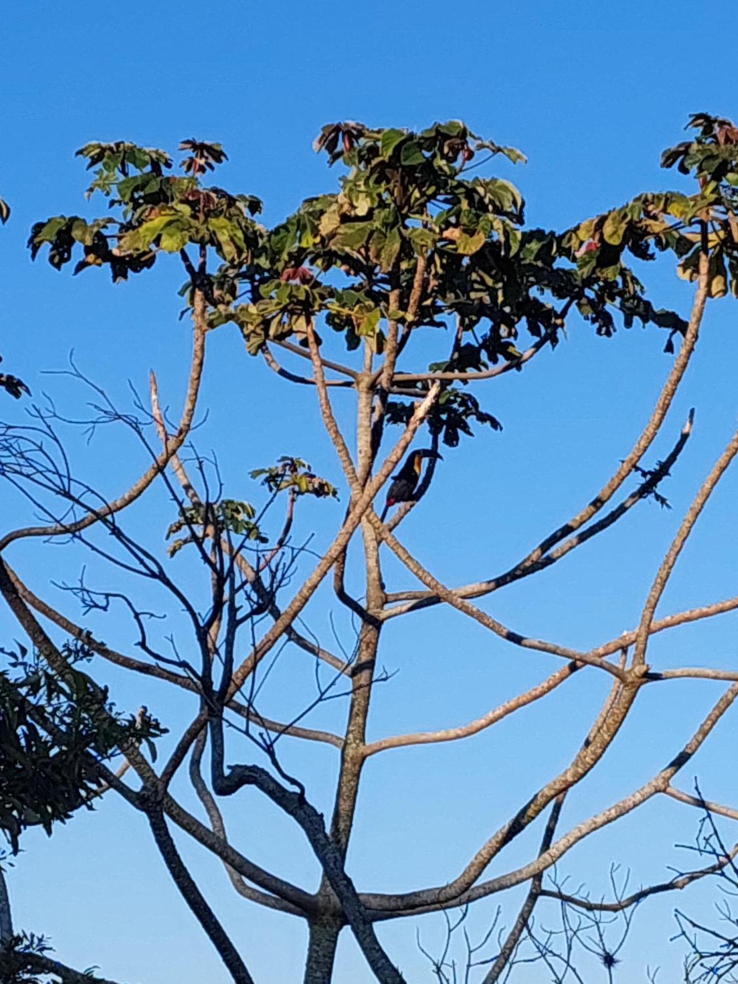 Florianópolis Chale Com Piscina酒店 外观 照片